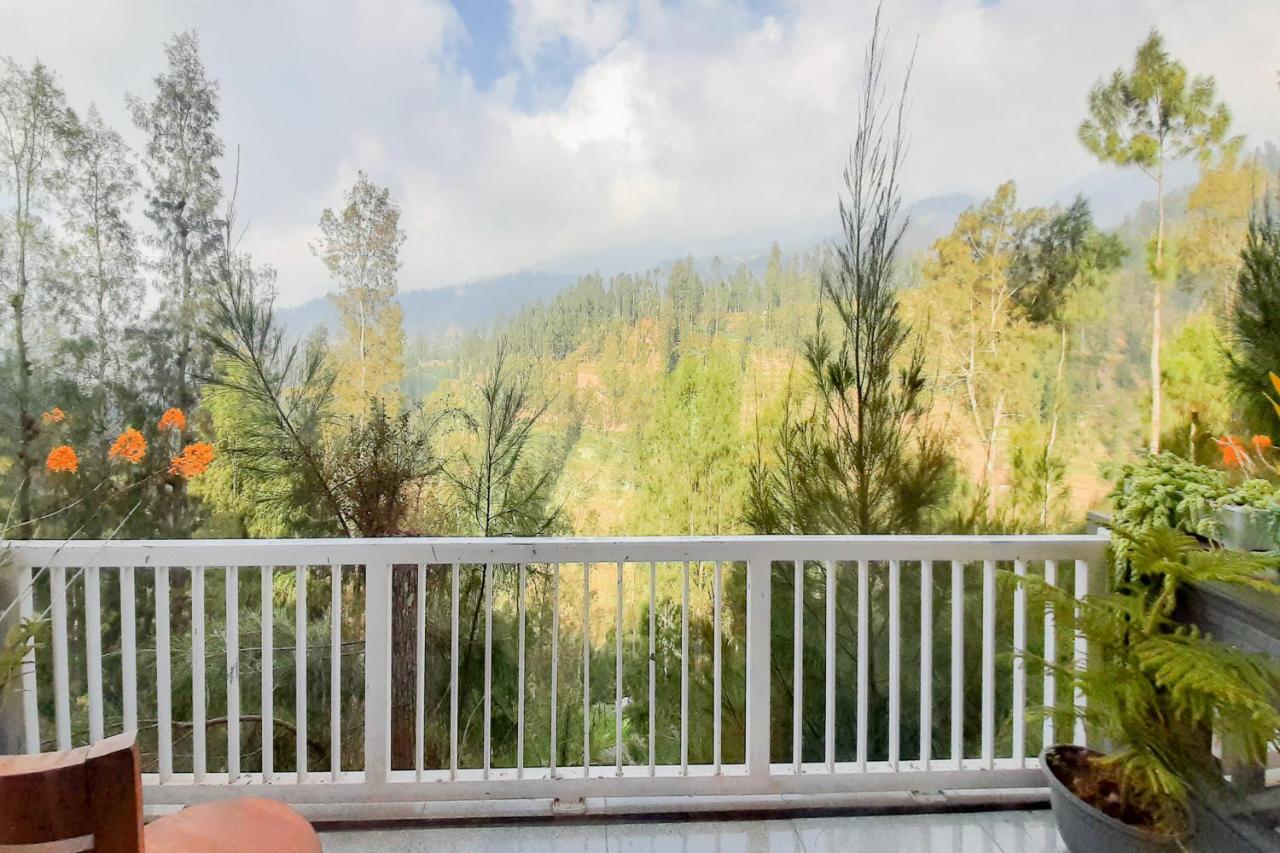 Delvia Bromo Homestay Mitra Reddoorz Pasuruan Exteriér fotografie
